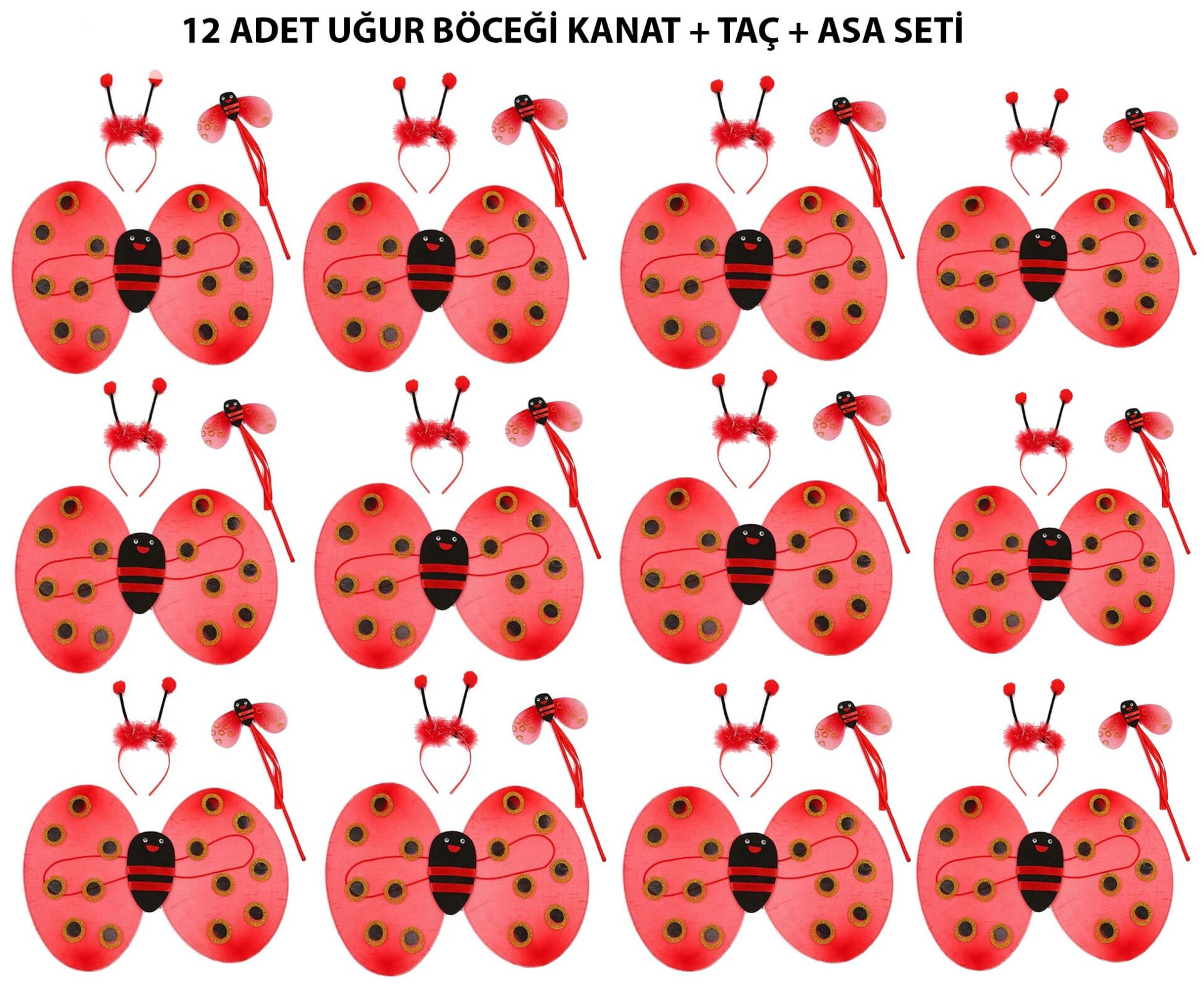 Uğur Böceği Kostüm Seti - Kanat, Taç, Asa 12 Adet