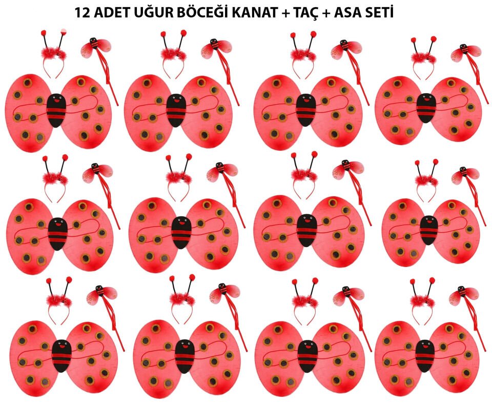 Uğur Böceği Kostüm Seti - Kanat, Taç, Asa 12 Adet