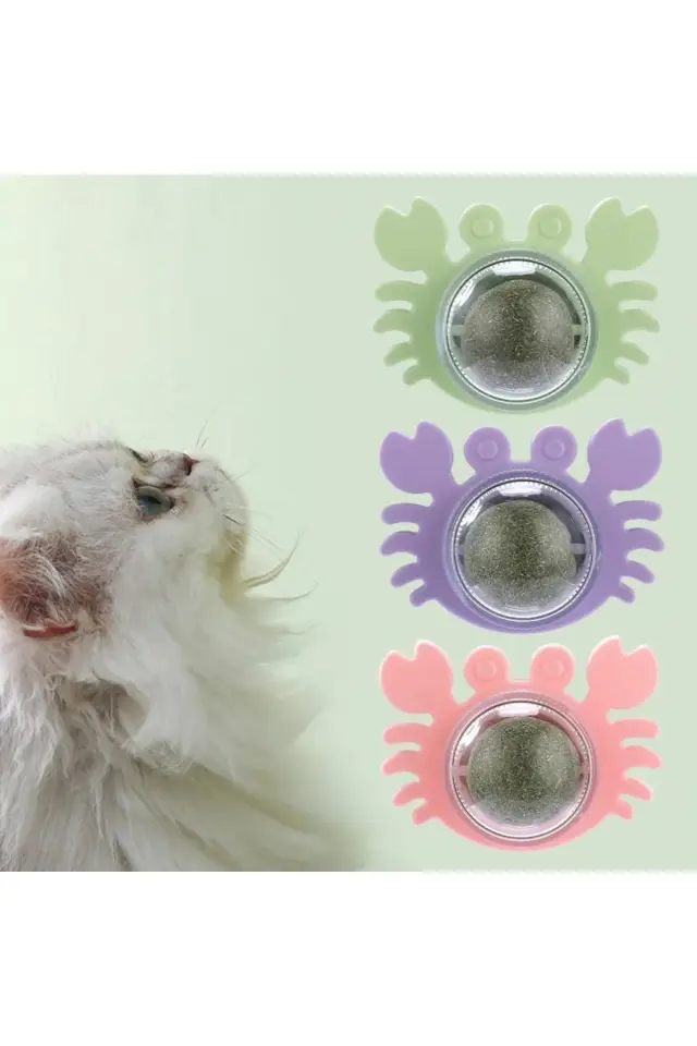 Yengeç Kedi Otu Oyun Topu